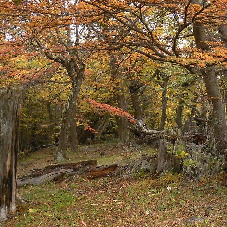 Hotel Posada Las Lengas Veintiocho de Noviembre Εξωτερικό φωτογραφία